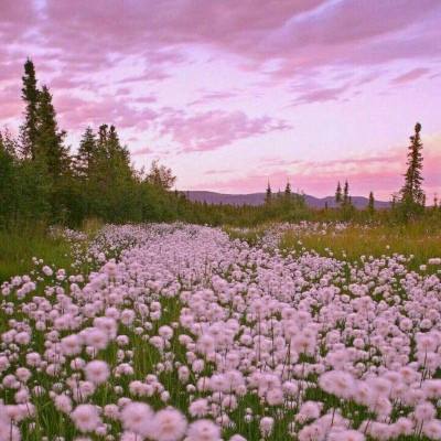 澳门黄金网站免费打开