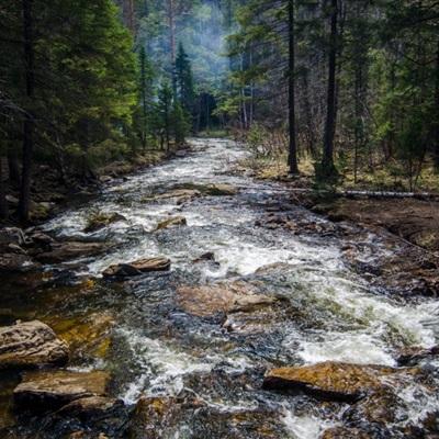 亚新手机版官方登录网站